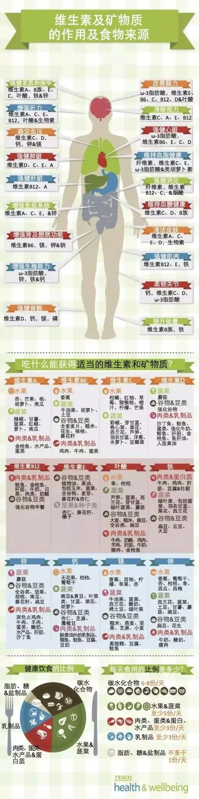 维生素与矿物质.png