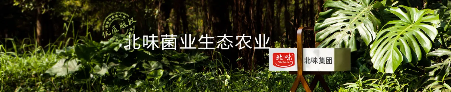 北味集团-轮播图.jpg